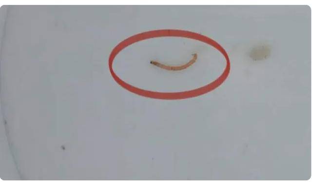 上海一小区饮用水现活体红线虫 供水公司：水里不会自带 不会对其他区域有影响