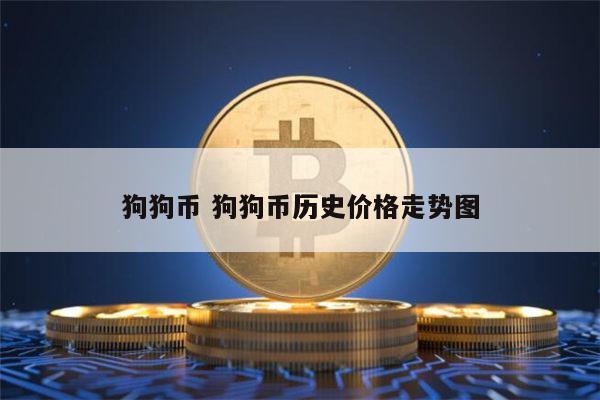 虚拟币狗币(狗狗币虚拟币)