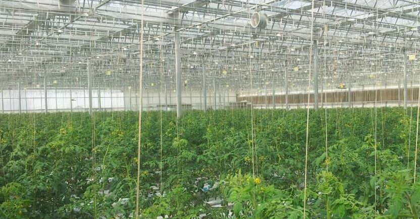 祥农虚拟游戏币(虚拟游戏币可以退款吗)