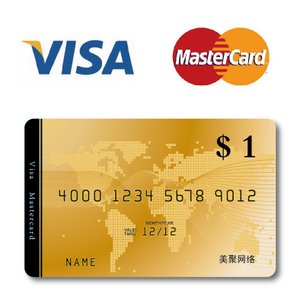虚拟双币信用卡(虚拟双币信用卡申请通道)